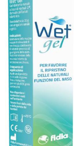 WET GEL 20 G