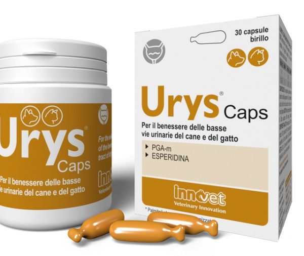 URYS CAPS 30 CAPSULE