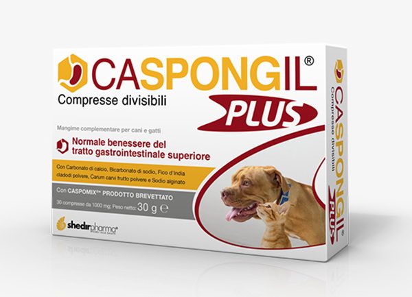 CASPONGIL PLUS 30 COMPRESSE