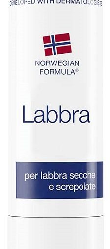 NEUTROGENA STICK LABBRA 4,8 G