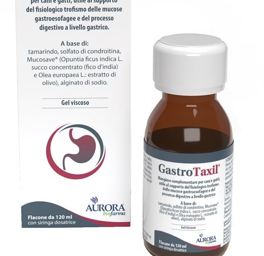 GASTROTAXIL 120 ML