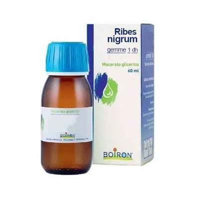 RIBES NIGRUM GEMME MACERATO GLICERICO 60 ML
