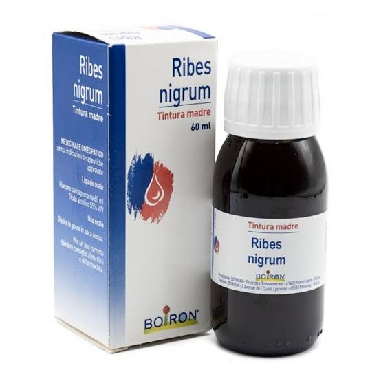 RIBES NIGRUM TINTURA MADRE 60 ML