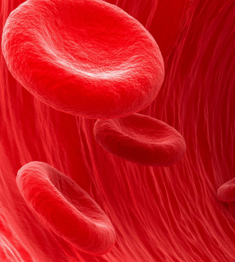 firenze-autoanalisi-sangue