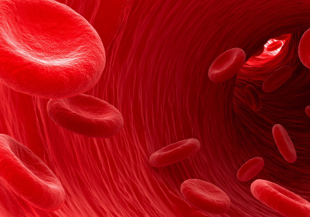 montelupo-autoanalisi-sangue